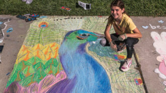 Art Association to host 20th annual Arte de Tiza street art competition