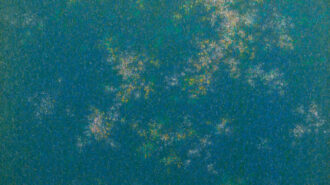 Cuesta College gallery presents ‘Inner Landscape’ by Sung Won Yun