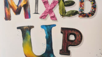 Mixed Up exhibit runs through October at Studios on the Park