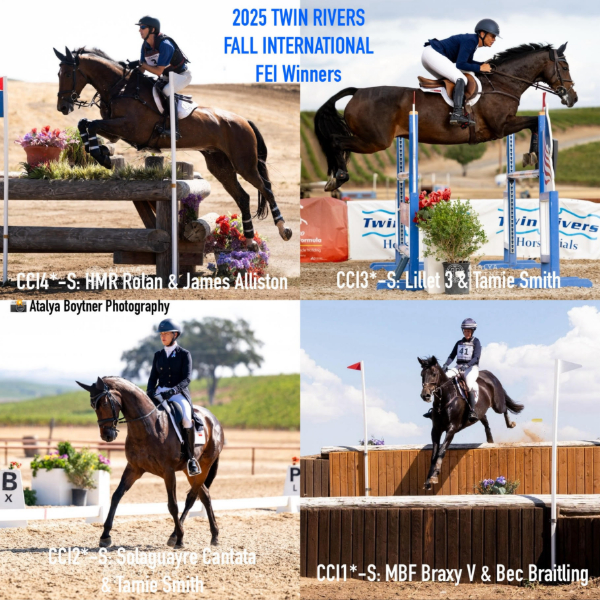 photos by Atalya Boytner Photography.