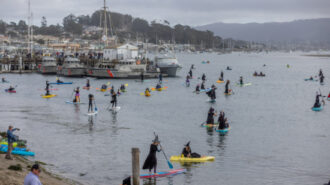 Morro Bay Witches Paddle returns for 13th annual event