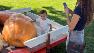 Locals celebrate fall harvest at Golden Oak Honey and Pumpkin Festival