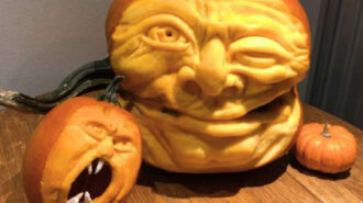 Pumpkin sculpting demo scheduled at Studios on the Park