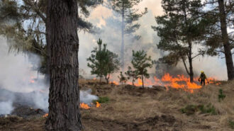 Prescribed burns planned at state parks across San Luis Obispo