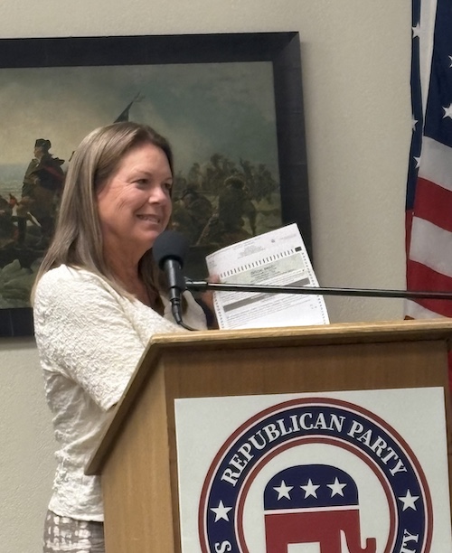 elections advocate Darcia Stebbins urged voters to go to the polls and vote in Tuesday’s election.