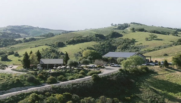 Winery celebrates 25 years with tasting room renovation