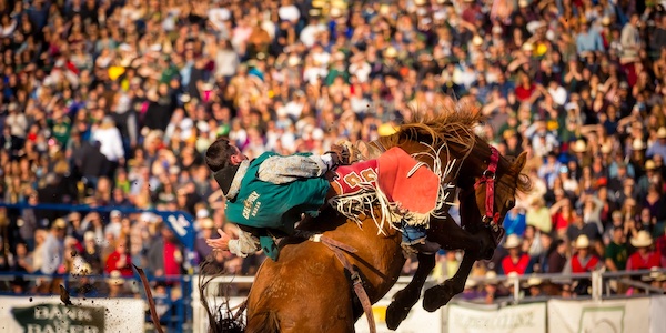 Tickets go on sale for Poly Royal Rodeo - Paso Robles Daily News