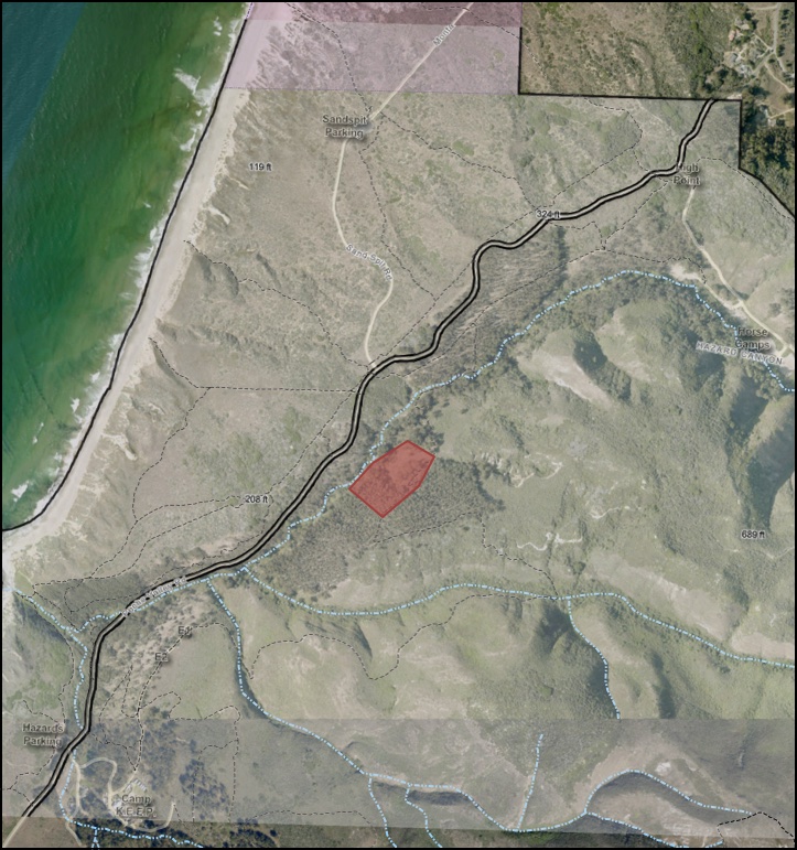 Prescribed burns planned at Montaña de Oro State Park