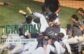 Former Bearcat Carson Turnquist headed to UCLA Regional with Cal Poly