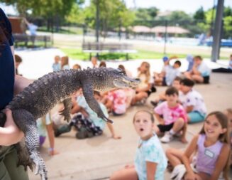 City of Paso Robles opens registration for summer camps