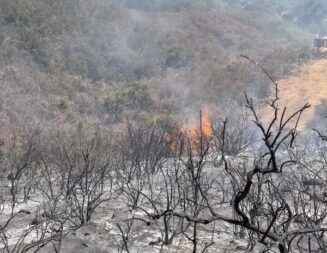 Vehicle fire sparks 5-acre Rock Fire west of Paso Robles