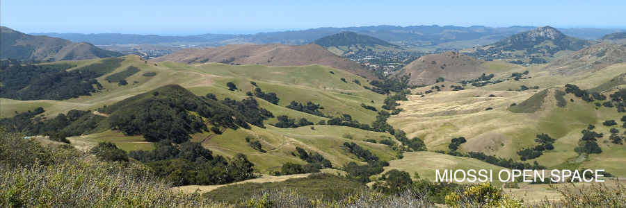 Cultural burn may cause smoke near Cuesta Grade - Paso Robles Daily News