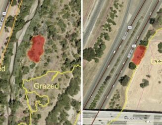 Two vegetation fires reported in Salinas River corridor