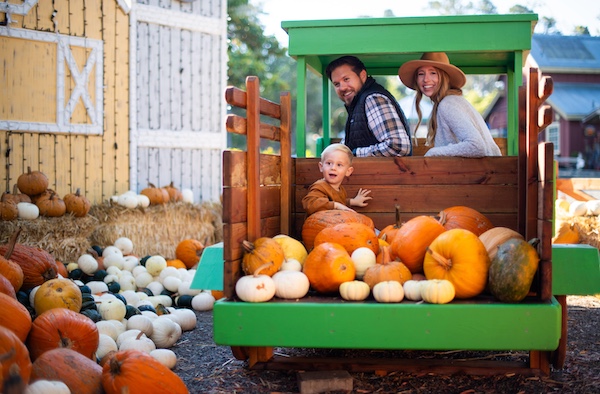 Cambria Nursery opens pumpkin patch for fall season - Paso Robles Daily News